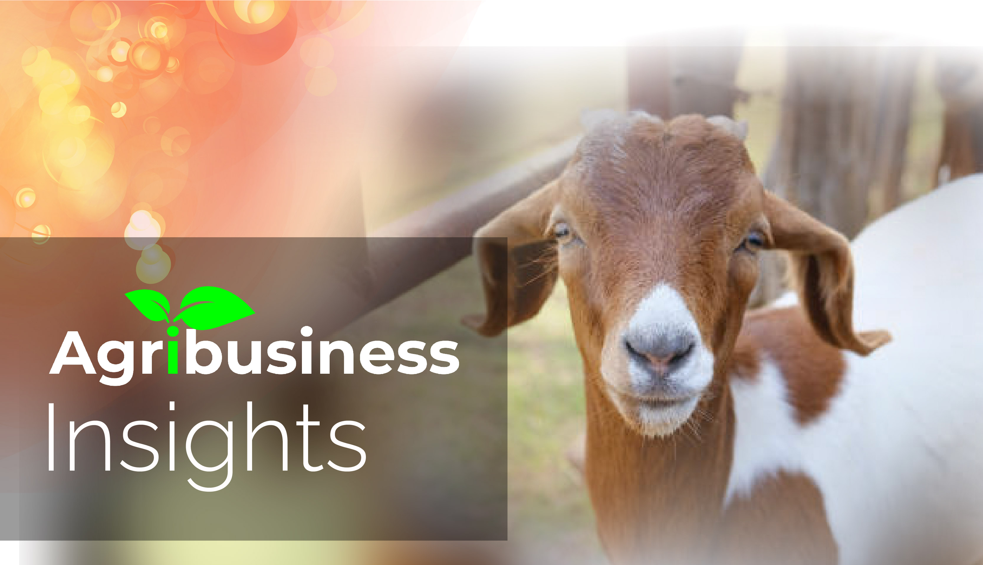 Agribusiness insights (Goat farming)